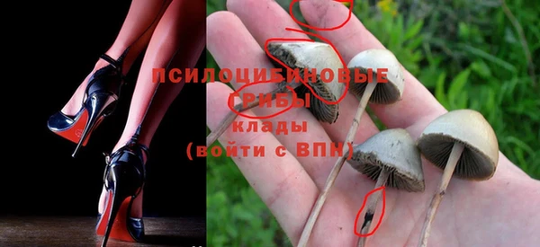 мдма Лагань