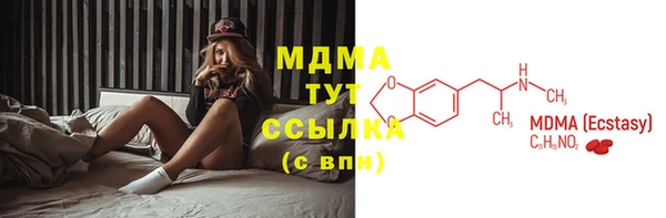 молекула духа Кулебаки