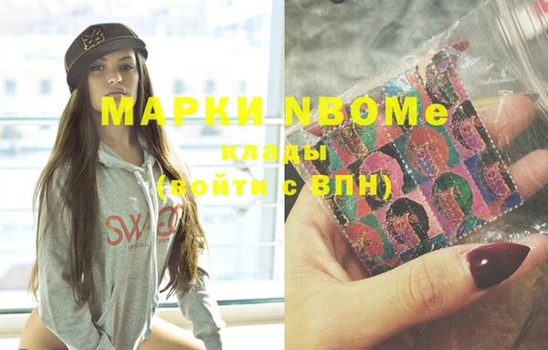 молекула духа Кулебаки