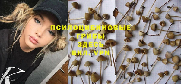а пвп мука Ладушкин