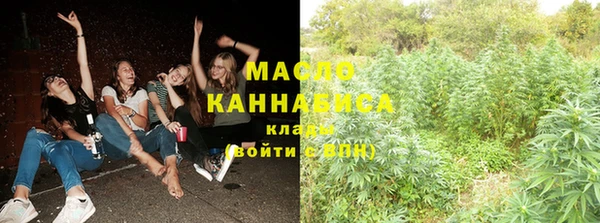 молекула духа Кулебаки