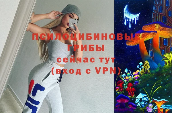 молекула духа Кулебаки
