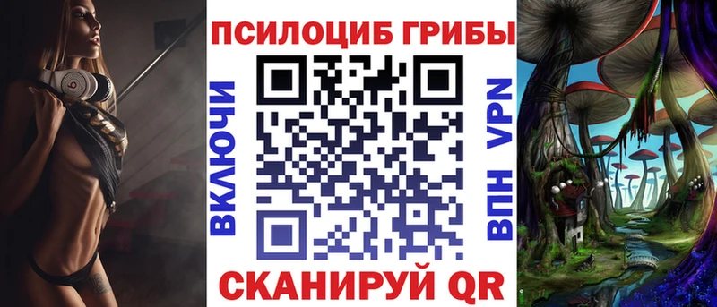 Псилоцибиновые грибы мицелий Купить закладки Новотроицк